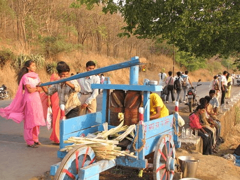 sugarcane-juice-4