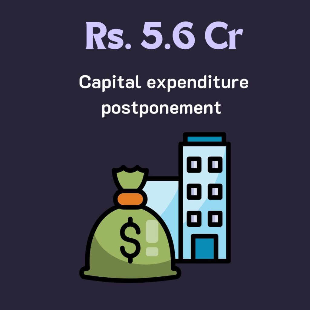 capital expenditure postponement